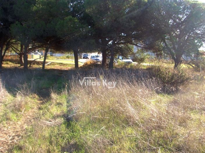 Image No.2-Terrain à vendre à Faro City