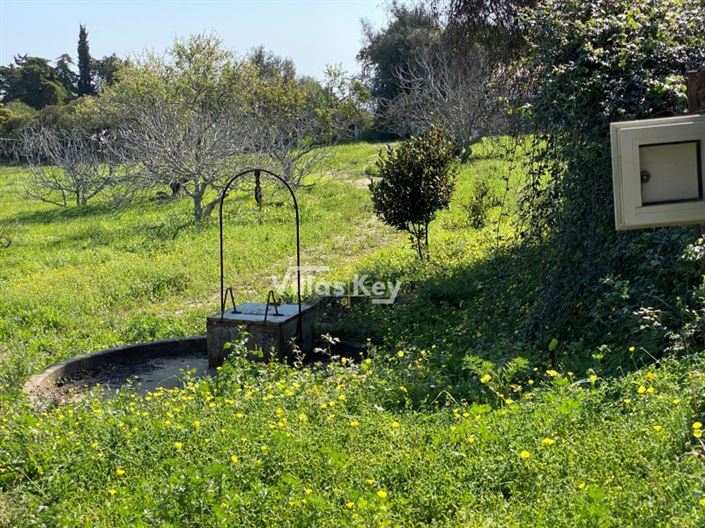 Image No.12-Plot for sale