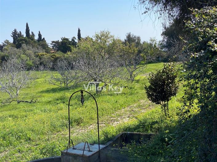 Image No.4-Plot for sale