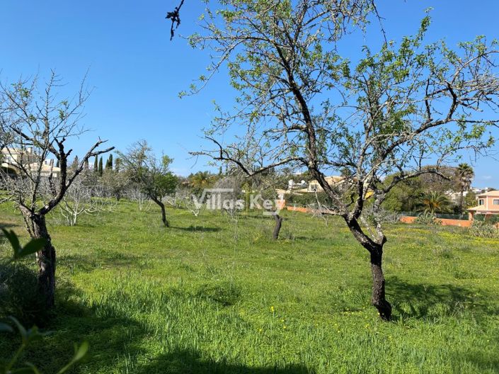 Image No.5-Plot for sale