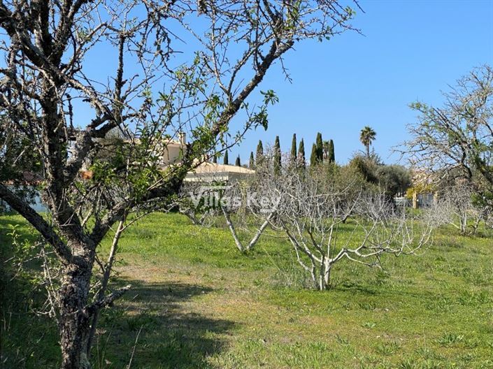 Image No.6-Plot for sale