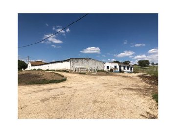 id19a06901-0000-0500-0000-000011272c9c