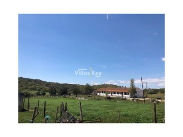 id19a06901-0000-0500-0000-000011272c9f