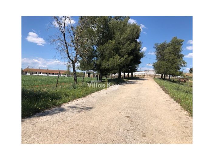 Image No.13-Ferme de 8 chambres à vendre à Silves