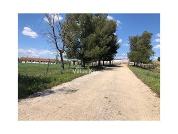 id19a06901-0000-0500-0000-000011272ca0