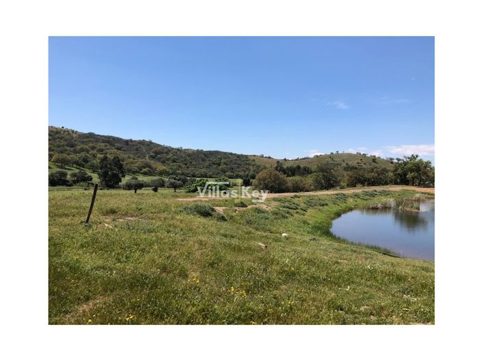 Image No.7-Ferme de 8 chambres à vendre à Silves