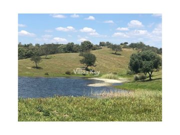 id19a06901-0000-0500-0000-000011272c94