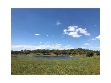 id19a06901-0000-0500-0000-000011272c99