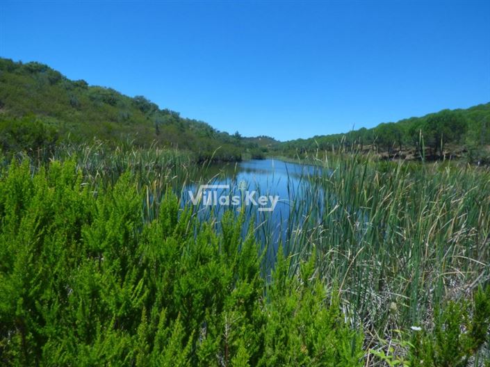 Image No.14-Plot for sale