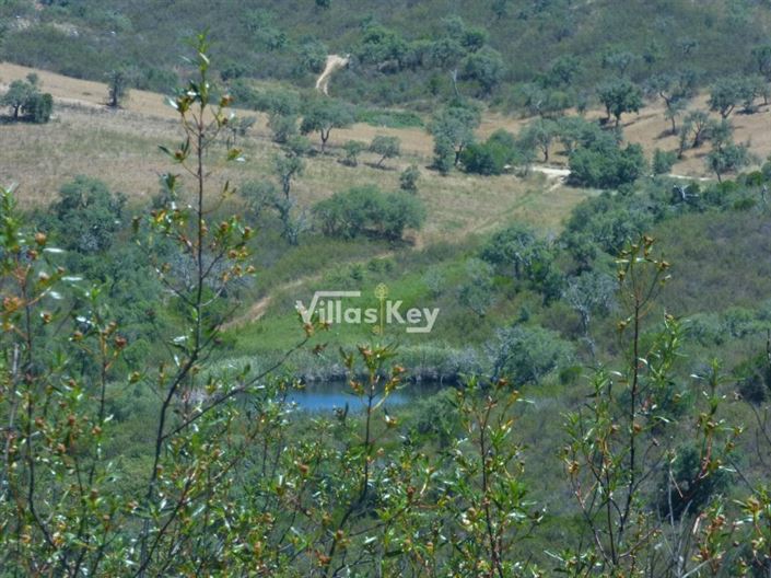 Image No.16-Plot for sale