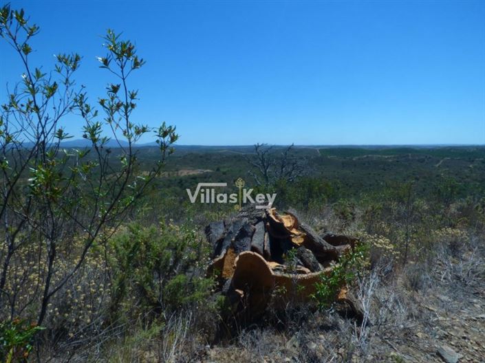 Image No.17-Plot for sale