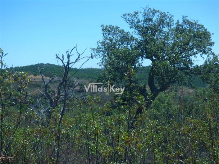 Image No.18-Plot for sale