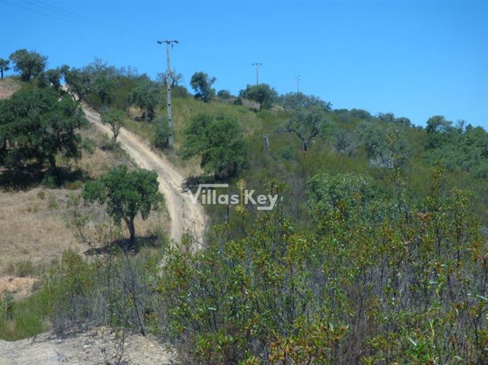 Image No.19-Plot for sale