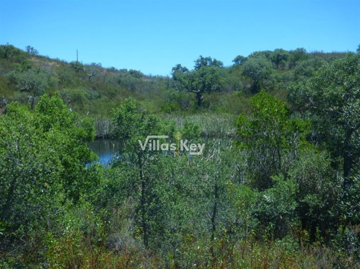 Image No.22-Plot for sale