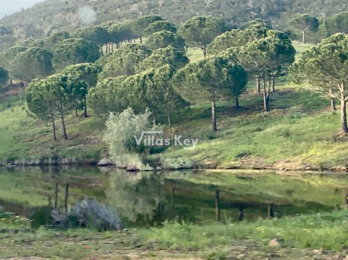 Image No.7-Plot for sale