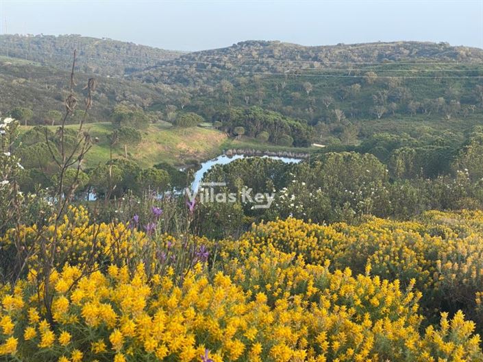 Image No.25-Plot for sale