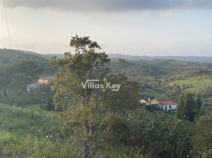 Image No.11-Plot for sale