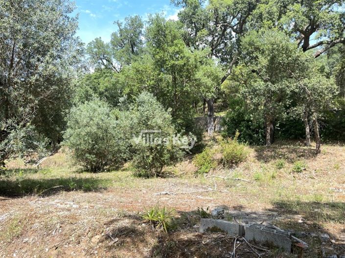 Image No.31-2 Bed House for sale