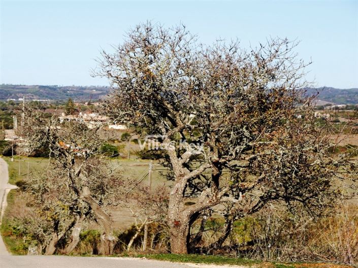 Image No.19-Maison de 3 chambres à vendre à Lagos