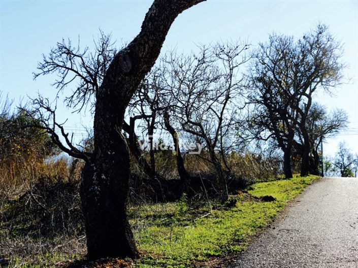 Image No.21-Maison de 3 chambres à vendre à Lagos