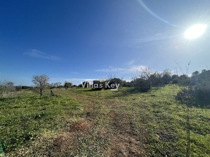 Image No.2-Plot for sale