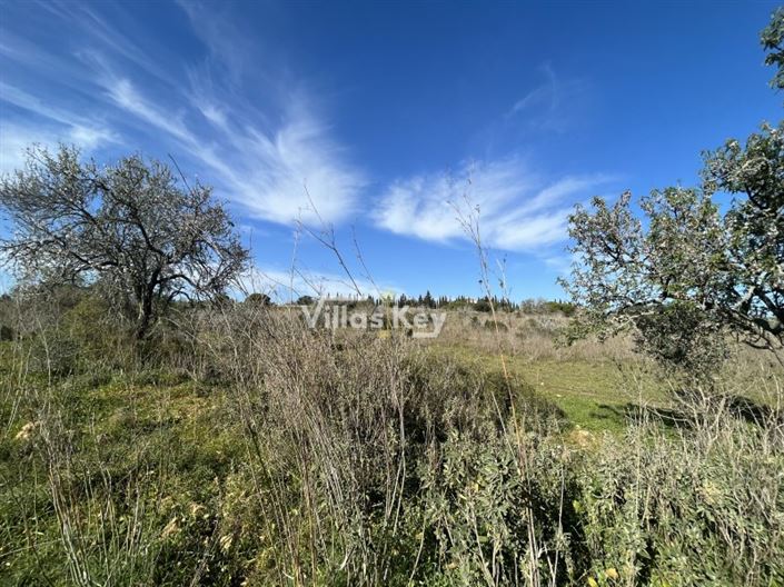 Image No.5-Plot for sale