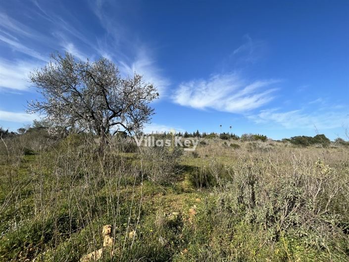 Image No.6-Plot for sale