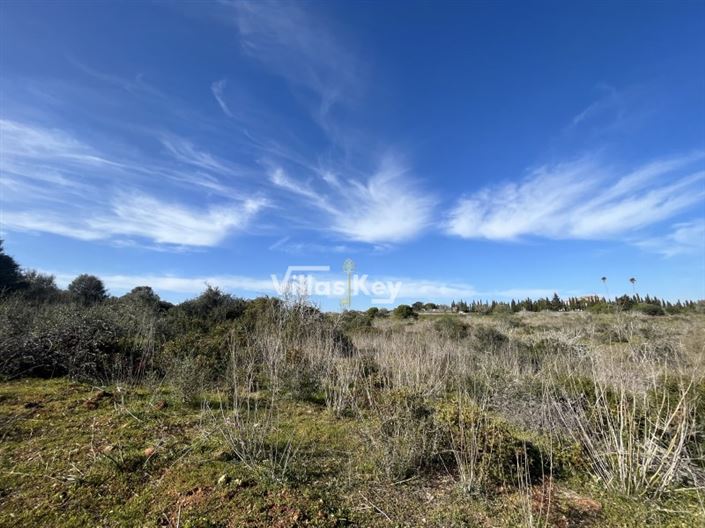 Image No.9-Plot for sale