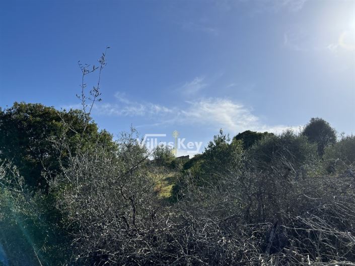 Image No.10-Plot for sale