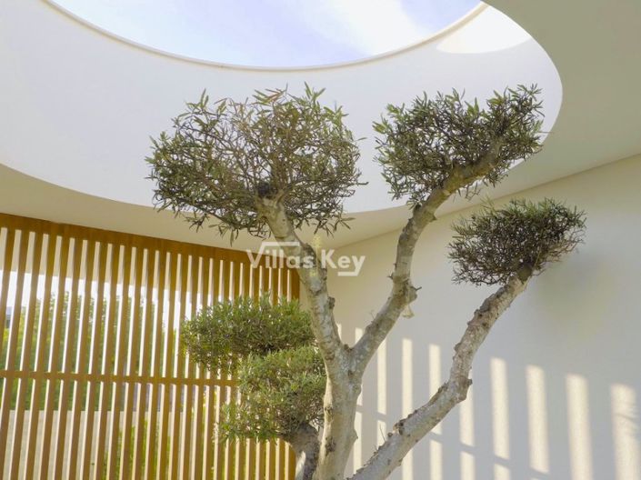 Image No.25-6 Bed House for sale