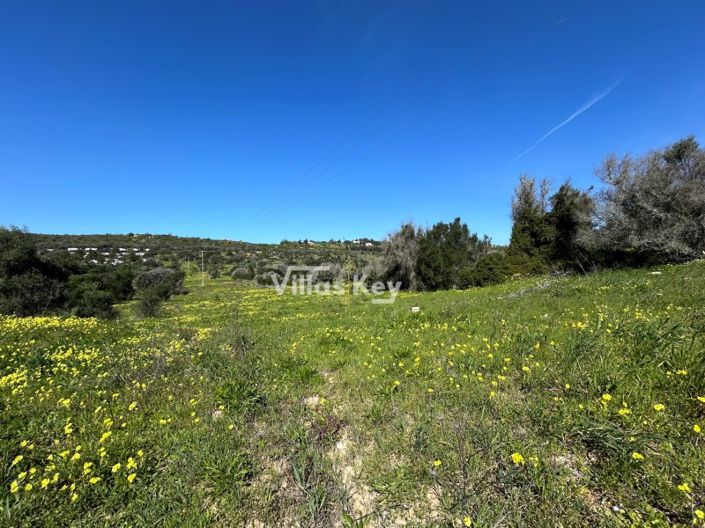 Image No.2-Plot for sale