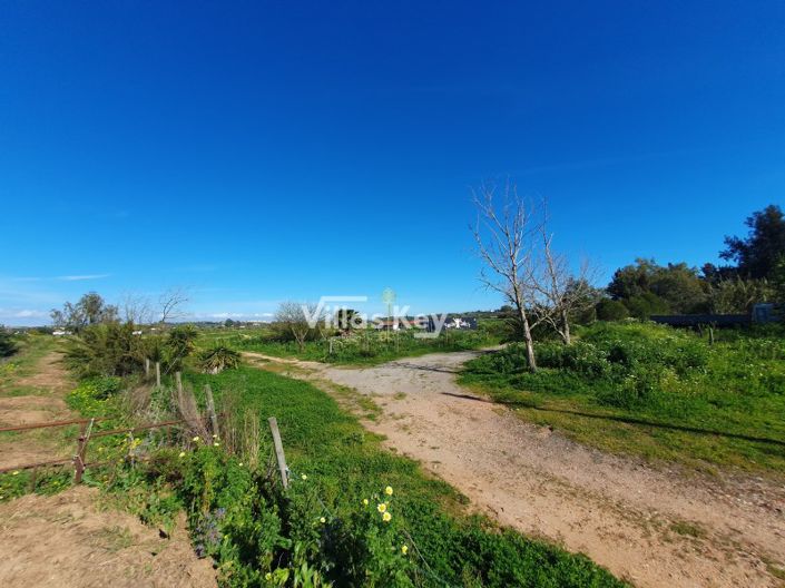 Image No.14-3 Bed Farmhouse for sale