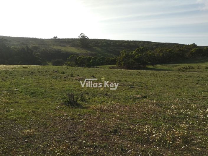 Image No.2-Plot for sale