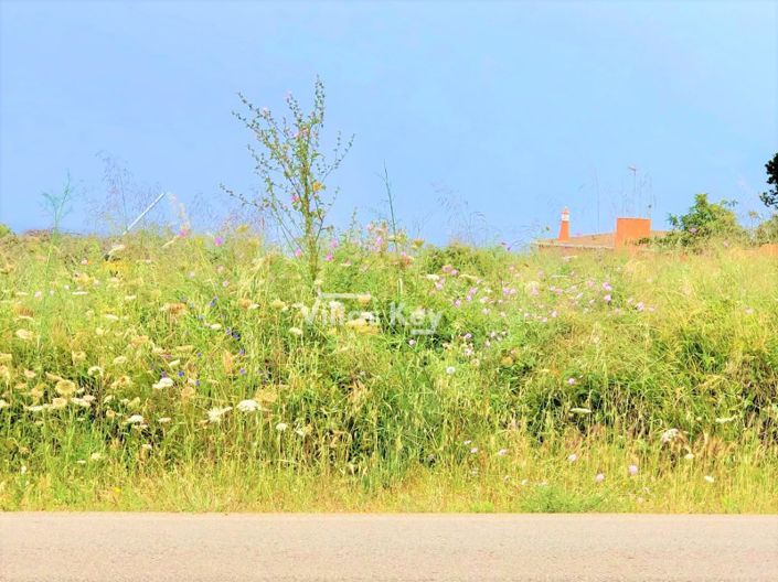 Image No.7-Terrain à vendre à Lagos