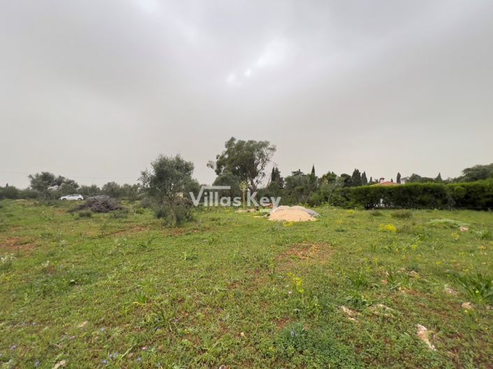 Image No.2-Plot for sale