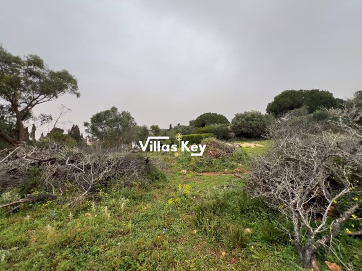 Image No.5-Plot for sale