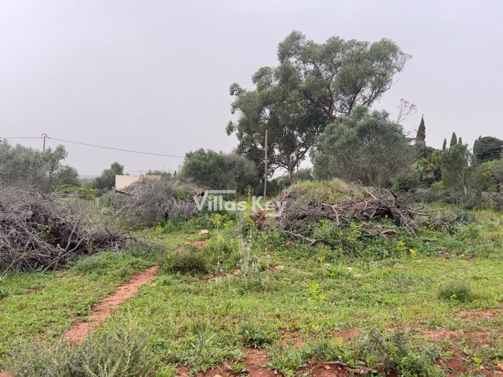 Image No.9-Plot for sale