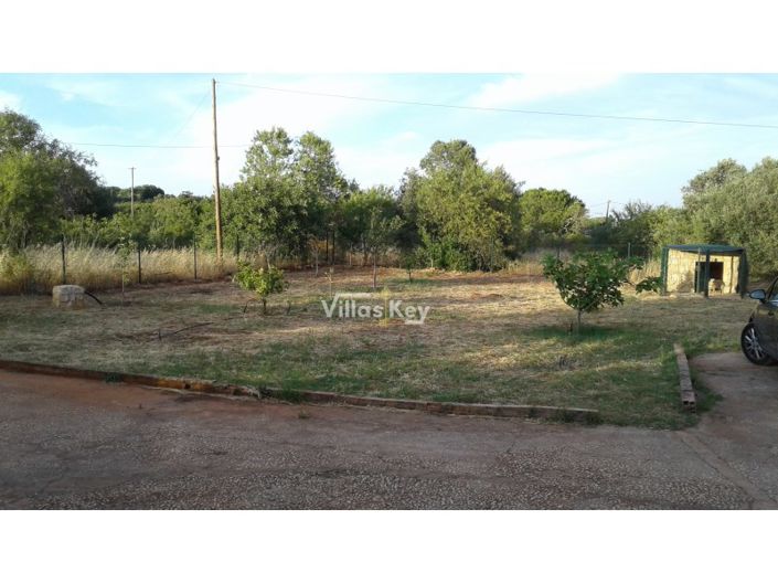 Image No.19-Ferme de 2 chambres à vendre à Lagos