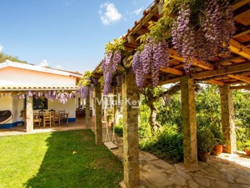 idd83b7e01-0000-0500-0000-00001343c1a4