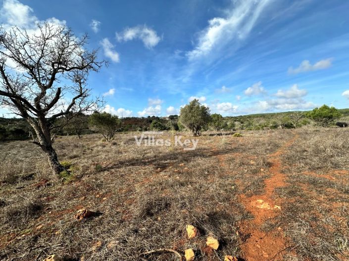 Image No.6-Plot for sale