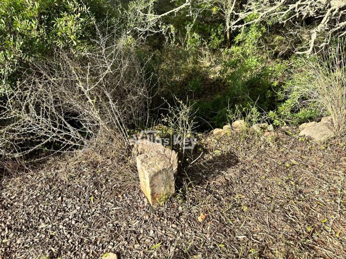 Image No.7-Plot for sale