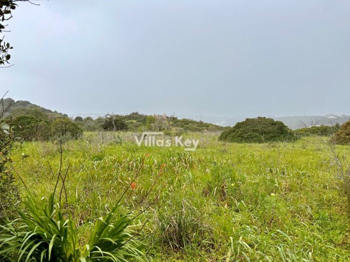 Image No.4-Plot for sale