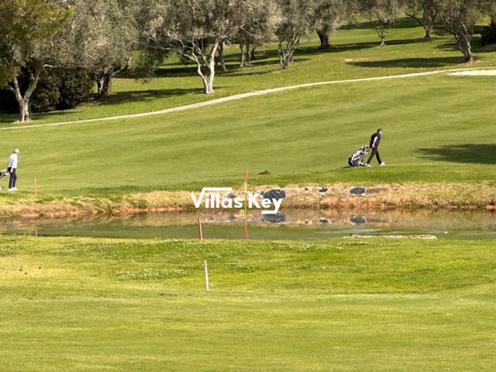 Image No.14-Plot for sale