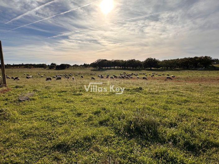 Image No.5-Plot for sale