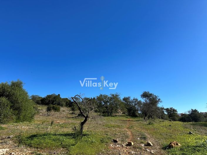 Image No.2-Plot for sale