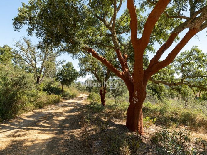 Image No.13-3 Bed Farmhouse for sale
