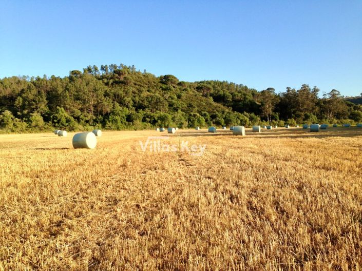 Image No.14-3 Bed Farmhouse for sale