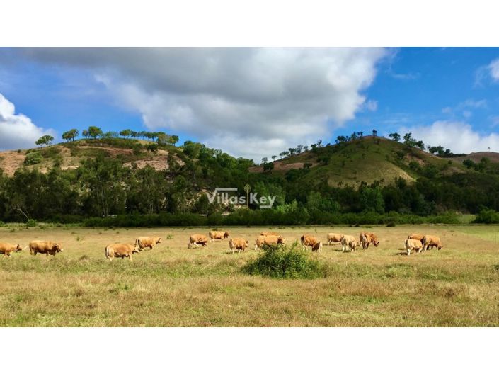 Image No.15-3 Bed Farmhouse for sale