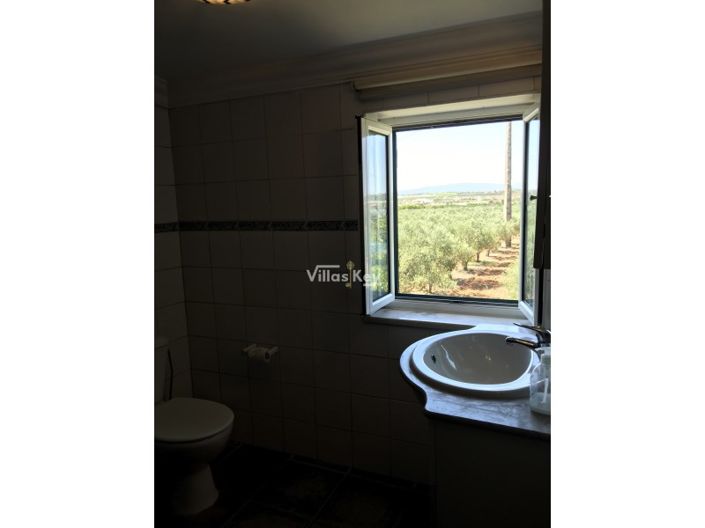 Image No.33-Ferme de 4 chambres à vendre à Lagoa