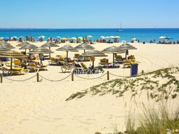 idc3819901-0000-0500-0000-00001566ce5e